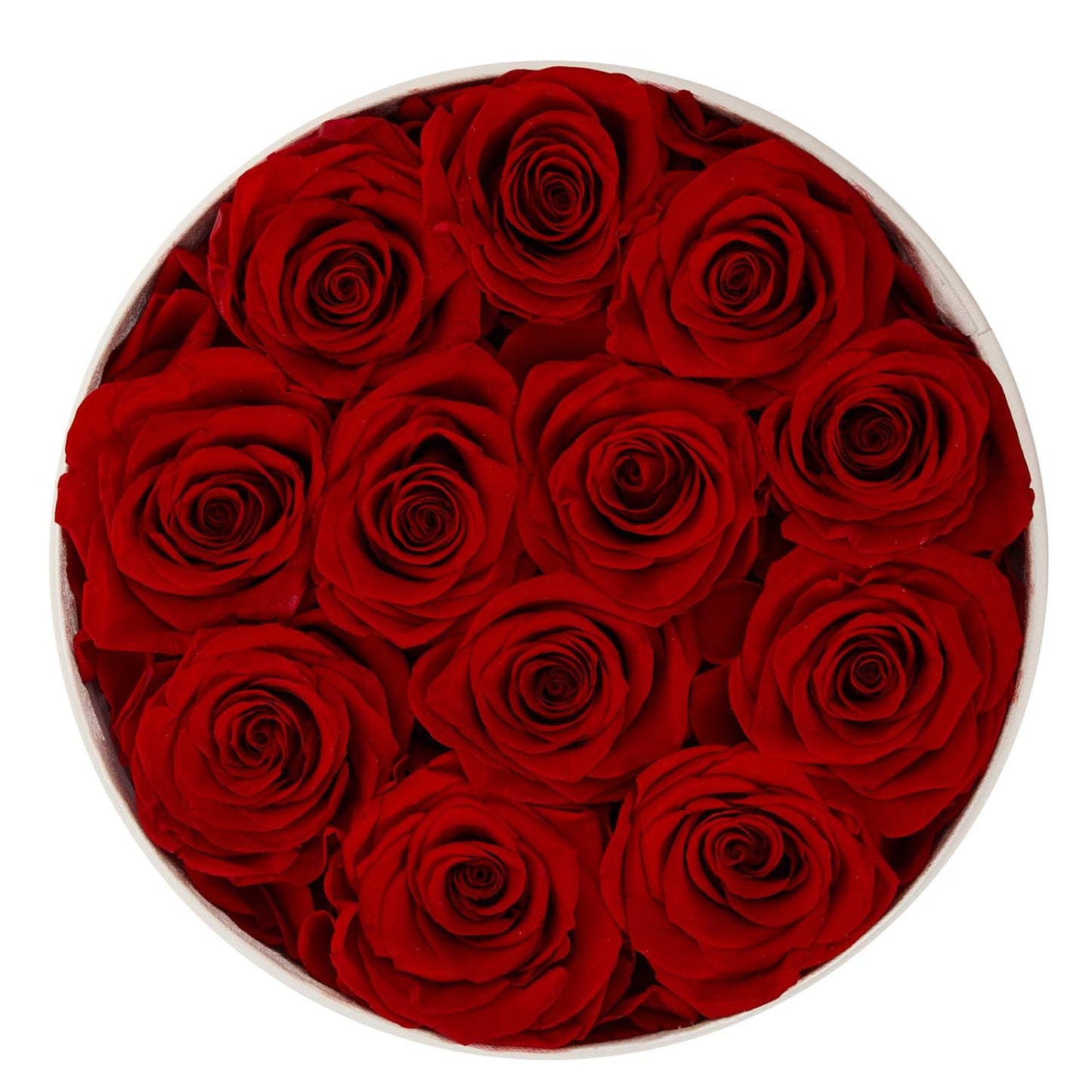 12 Preserved Rose in a Box Real Roses That Last a Year Preserved Flowers for Delivery Prime Gift for Her Valentines Day Mother Day (Red Roses, round White PU Leather Box)